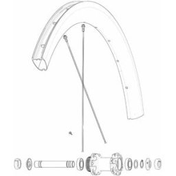 Mavic Rayons Kit 12 Front/rear Cosmic Pro Carbon Ust Disc