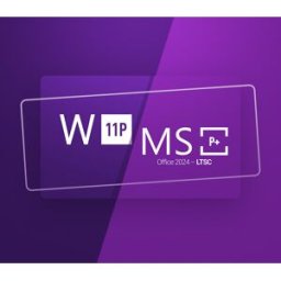 Kinguin Windows 11 Professional & MS Office 2024 Professional Plus LTSC Bundle Key