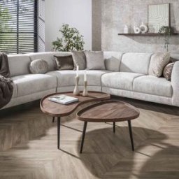 Vivabita Table basse style nature en acacia massif brun Carvie (lot de 2) Brun