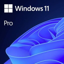 Microsoft Windows 11 Pro OEM version complète, 1 licence Windows anglais Système dexploitation