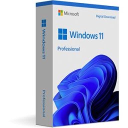 Microsoft Windows 11 Professional