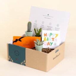 Cadeau d'anniversaire plante : coffret plante, livraison 24h - Interflora