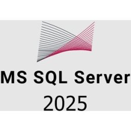 Kinguin MS SQL Server 2025 CD Key