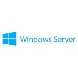 IBM Isg Système D´exploitation Microsoft Windows Server 2019 License 1 User Multicolor One Size unisex