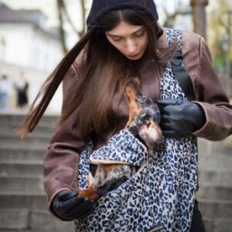 Caramel & Cie Sac de transport Animaux Grey Leopard