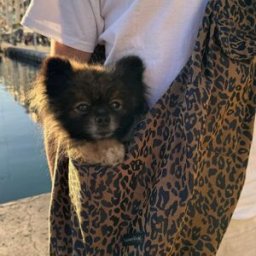 Caramel & Cie Sac de transport Animaux Camel Leopard