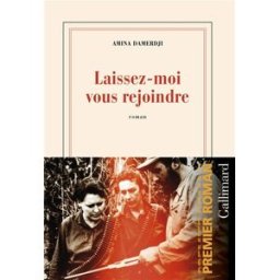Laissez-moi vous rejoindre Amina Damerdji Gallimard