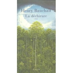 La déchirure Henry Bauchau Actes Sud
