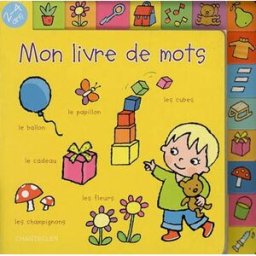 Mon livre de mots : 2-4 ans Anita Engelen Chantecler