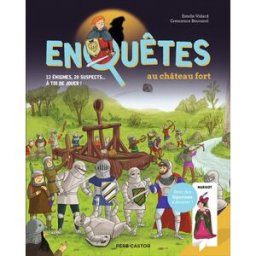 Enquêtes au château fort : 12 énigmes, 20 suspects... à toi de jouer ! Estelle Vidard Père Castor-Flammarion