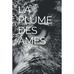 LA PLUME DES ÂMES: Le Livre Perdu andré, moïse Independently published