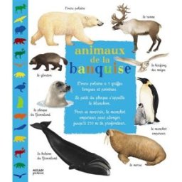 Animaux de la banquise Christian Havard, Catherine Fichaux Milan jeunesse