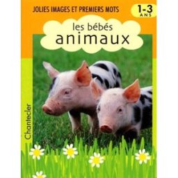 Jolies images et premiers mots 1-3 ans. Les bébés animaux WILDLIFE PICTURES Chantecler