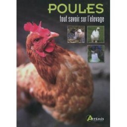 Poules : tout savoir sur l'élevage Laurence Beeken Artémis