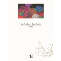 L'herbier Jean-Pierre Balpe, Miguel Chevalier le Promeneur