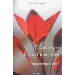 Forces de vie, forces formatrices : fondements méthodologiques pour une étude du vivant : étude d'un Dorian Schmidt Triades
