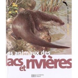 Les animaux des lacs et des rivières Michel Cuisin, Carl Brenders Hachette Jeunesse