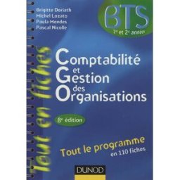 Comptabilité et gestion des organisations, BTS 1re et 2e années : tout le programme en 110 fiches brigitte doriath, michel lozato, paula mendes-miniatura, pascal nicolle Dunod