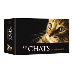 Les chats en 365 images collectif Hugo Image