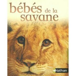 Bébés de la savane collectif Nathan Jeunesse