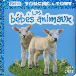 Les bébés animaux Léa Thomattéo Langue au chat