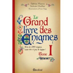Le grand livre des énigmes : casse-tête et jeux de logique. Vol. 1 Fabrice Mazza, Sylvain Lhullier Marabout