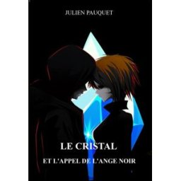Le Cristal et l'appel de l'ange noir: Tome I PAUQUET, Julien Maurice J.M PAUQUET