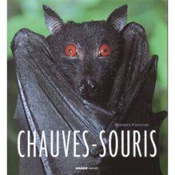 Chauves-souris Béatrice Fontanel Mango-Images