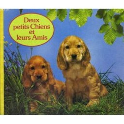 deux petits chiens et leurs amis - mes premiers albums - serie iris collectif hachette
