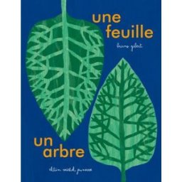 Une feuille, un arbre Bruno Gibert Albin Michel-Jeunesse