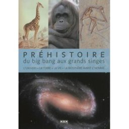 Préhistoire. Du big bang aux grands singes : l'Univers, la Terre, la vie, la biosphère avant l'homme Jean-Marc Perino MSM