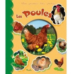 Les poules piccolia Piccolia