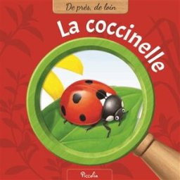 La coccinelle koh, yousun Piccolia