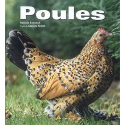 Poules Nathalie Semenuik Artémis