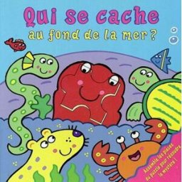 Qui se cache au fond de la mer ? Sonia Canals, Catherine Allison Gründ