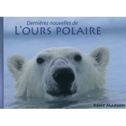 Dernières nouvelles de l'ours polaire Rémy Marion Pôles d'images