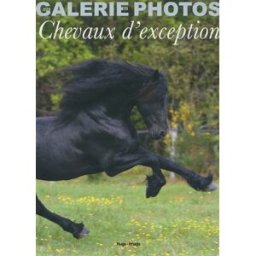 Chevaux d'exception Delphine Germain, Alain Laurioux Hugo Image