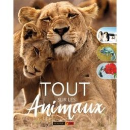 Tout sur les animaux John Woodward, Jon Farndon Rouge et or