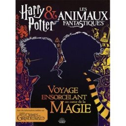 Harry Potter & Les animaux fantastiques : voyage ensorcelant au coeur de la magie michael kogge Editions 404