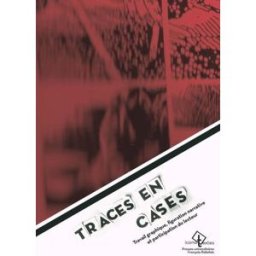 Traces en cases : travail graphique, figuration narrative et participation du lecteur : essai sur la Philippe Marion Presses universitaires François-Rabelais