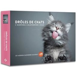 Drôles de chats : l'agenda-calendrier 2022 collectif Hugo Image