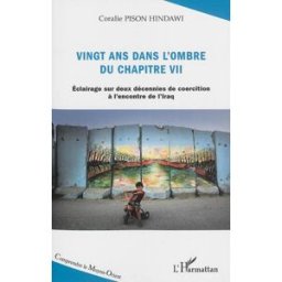 Vingt ans dans l'ombre du chapitre VII : éclairage sur deux décennies de coercition à l'encontre de Coralie Pison Hindawi L'Harmattan