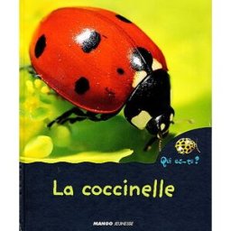 La coccinelle Christian Marie Mango-Jeunesse