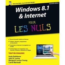 Windows 8.1 & Internet pour les nuls young, margaret levine First interactive