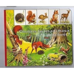 Connais-tu les animaux de la forêt ? collectif Rouge et or, GP Rouge et or