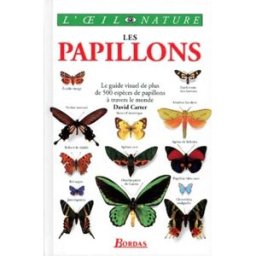 les papillons carter bordas editions