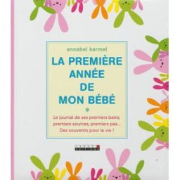 La première année de mon bébé : le journal de ses premiers bains, premiers sourires, premiers pas... Annabel Karmel Leduc.s éditions