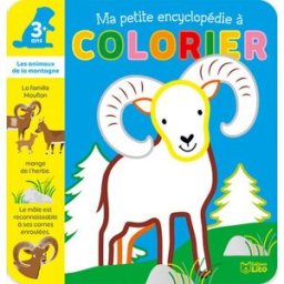 Les animaux de la montagne Corinne Lemerle Lito