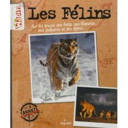 Les félins : sur les traces des lions, des léopards, des guépards et des tigres... Steve Bloom Milan jeunesse