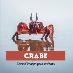 Crabe: Livre d'images pour enfants Banza, Paulo Independently published
